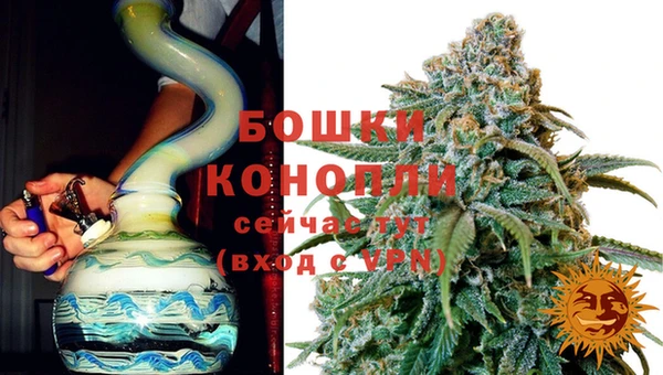 гашик Аркадак
