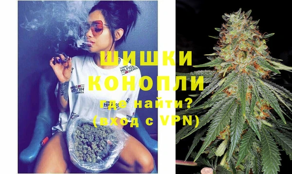 гашик Аркадак