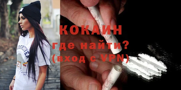 гашик Аркадак