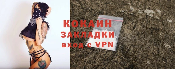 ешки Арсеньев