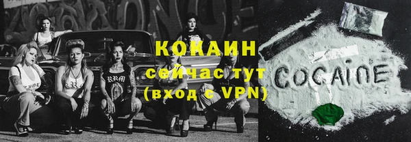 ешки Арсеньев