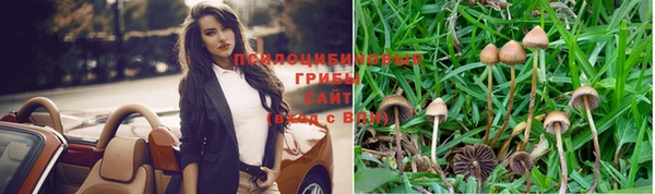 гашик Аркадак