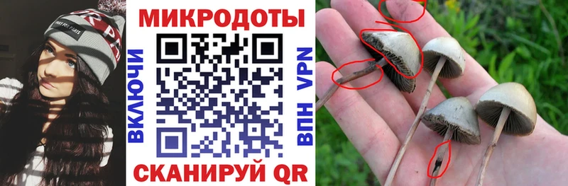 KRAKEN зеркало  закладки  Зея  Галлюциногенные грибы Cubensis 